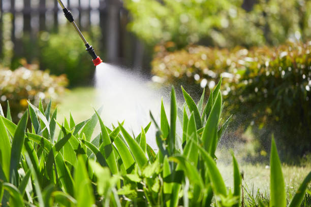 Tamper-Resistant Bait Stations for Rodents in Galena