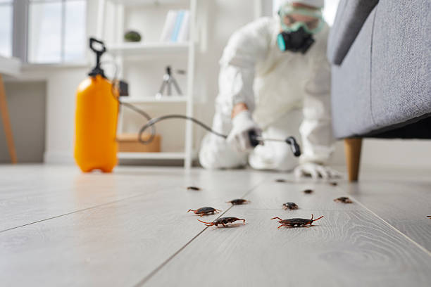 Commercial Rodent Management in Galena